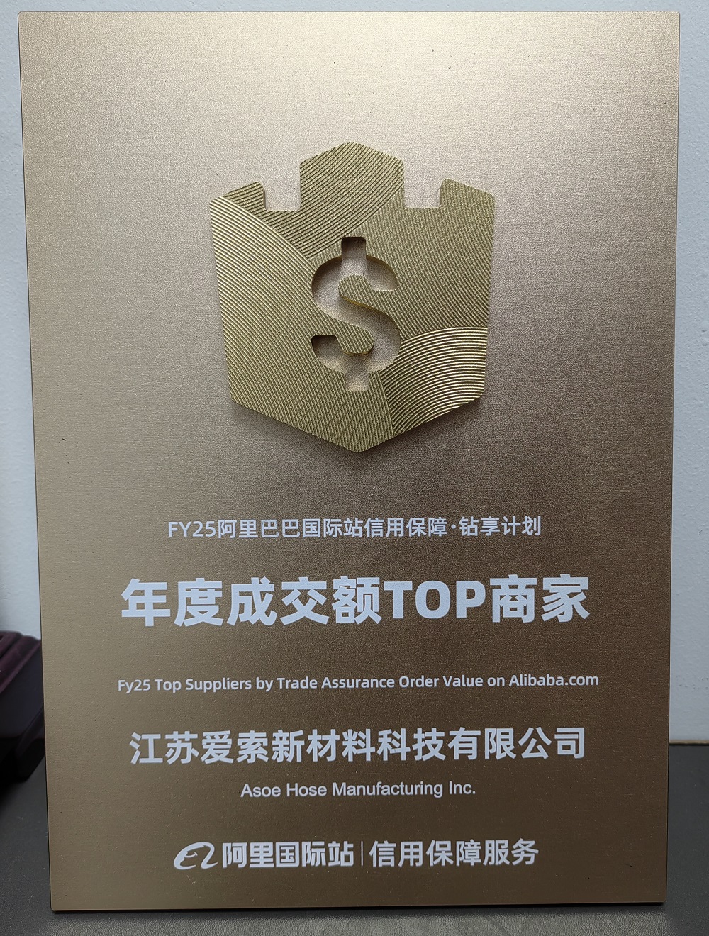 Milestone Achieved | Alibaba.com Annual Top Merchant Award!