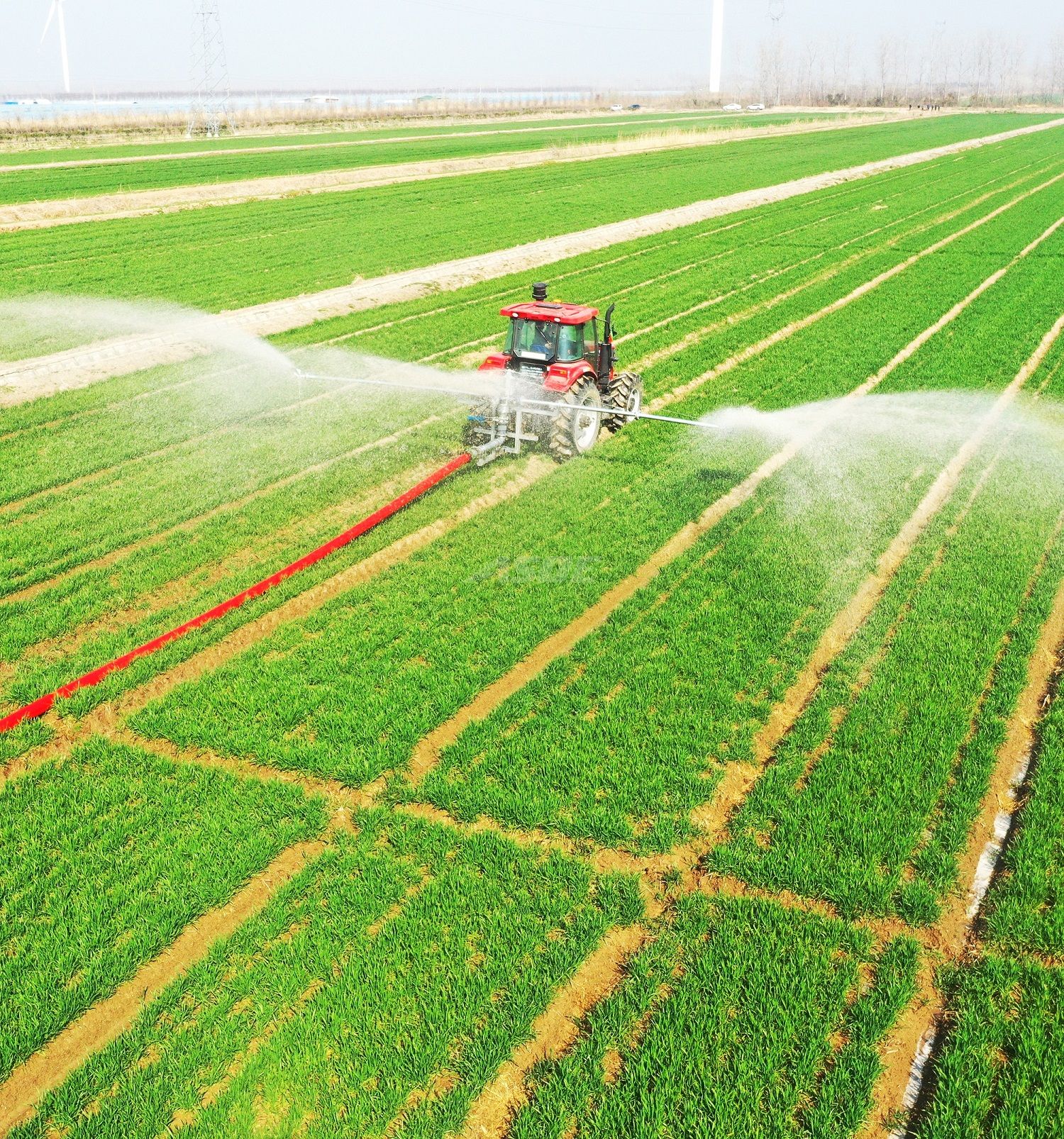 Surface Applicator